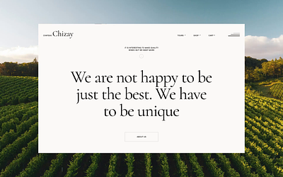 Chateau Chizay / Ukrainian wine brand a strong motion website animation chateau creative creative design creative ecomerce light design minimalistic motion design online store trends ui ukrainian unusual design web designer website website design wine wine products wine shop