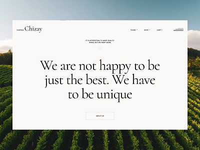 Chateau Chizay / Ukrainian wine brand a strong motion website animation chateau creative creative design creative ecomerce light design minimalistic motion design online store trends ui ukrainian unusual design web designer website website design wine wine products wine shop