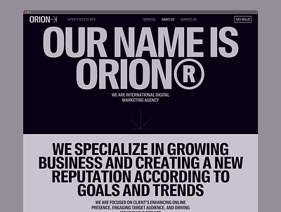 Orion Mobile Agency agency bold che crypto identity interaction marketing mobile roi seo typo typography ui ux valery che web