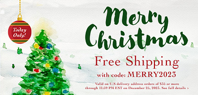 Christmas Free Shipping Banners design illustration typography
