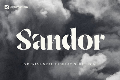 Sandor; Display Serif Font classic display font letter logo sandor serif title type typography web