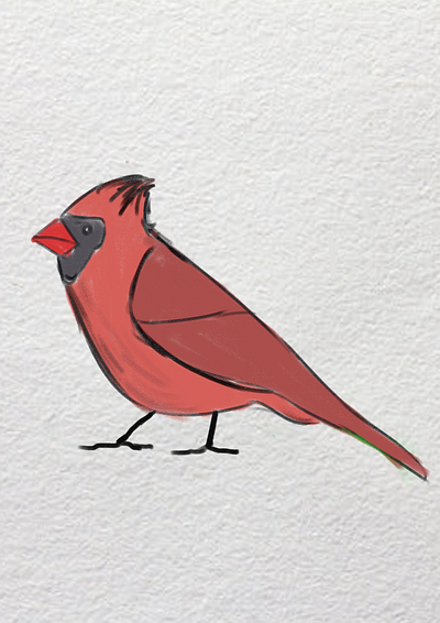 #inktober #inktober23 # Birds #birdtober2023 branding digital art digital pencil drawing graphic design illustration