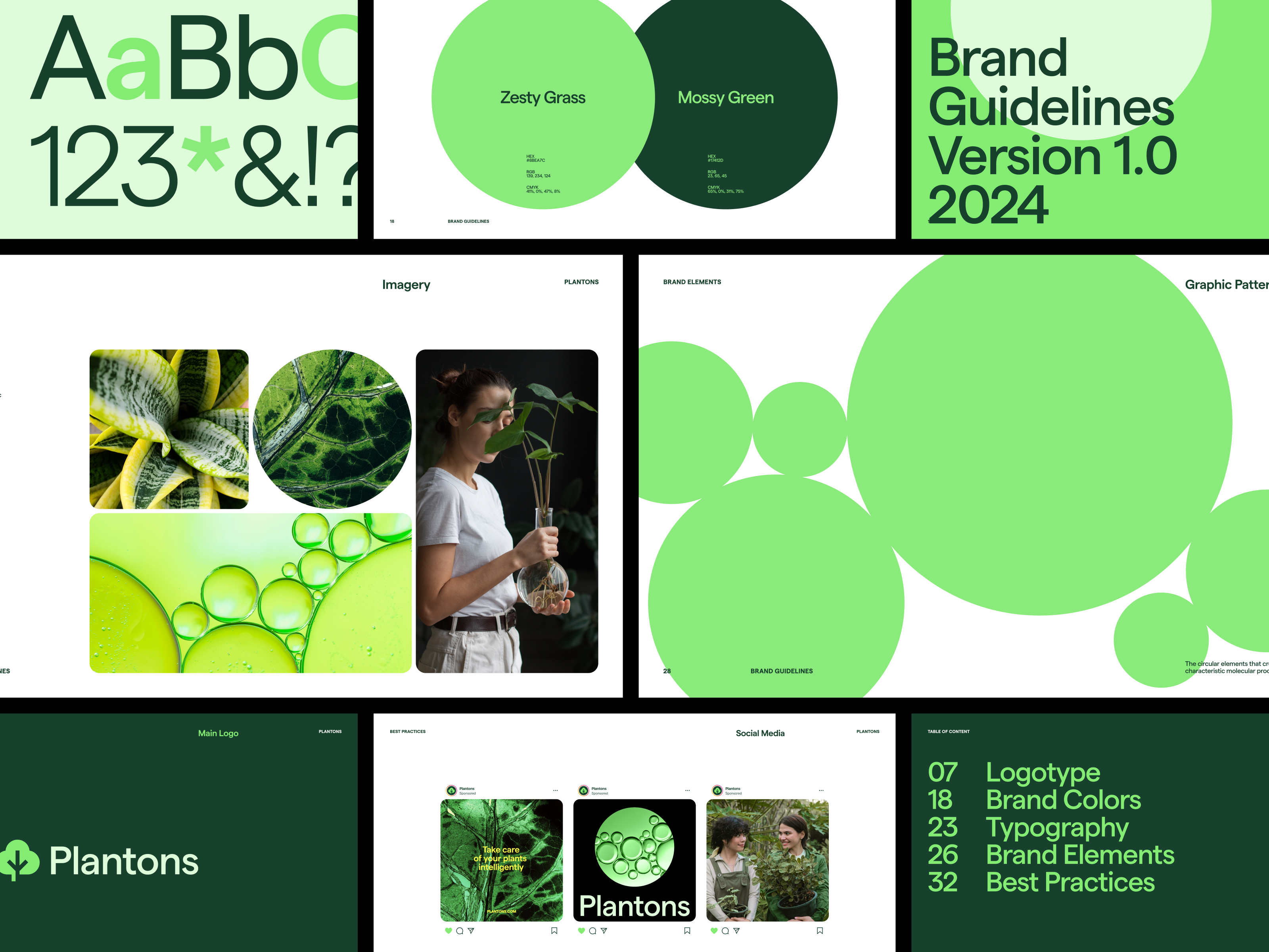 Example of Brand Strategy & Full Branding Package