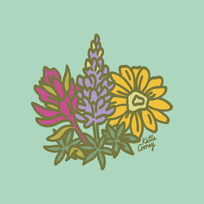 Western Wildflower Patch balsamroot illustration illustrator indian paintbrush lupine merchandise design outdoor industry rocky mountains tetons wildflower wildflowers