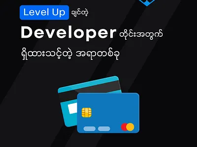 Developer Visa Card developer graphic design social media visa