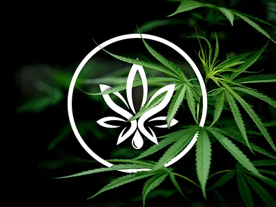 Cannabis oil/Hash oil Logo cannabis logo cannabis oil logo cbd health logo cbd logo cbdcream cbdedibles cbdeducation cbdforpain cbdhealth cbdoil cbdtea hash oil hash oil logo leaf logo leaf oil logo logo natural oil logo oil logo weed leaf logo weed oil logo