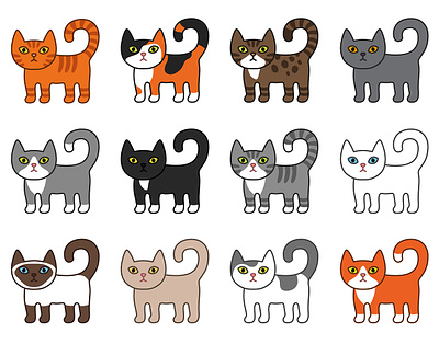 Cats Illustration cat design graphic design illustration vector