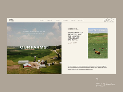 Promeat about clean design farm horeca meat product site store ui ux web