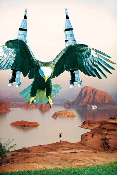 Dune Threshold bird concept art desert digital art digital imaging image editing landscape nature photoshop retouching