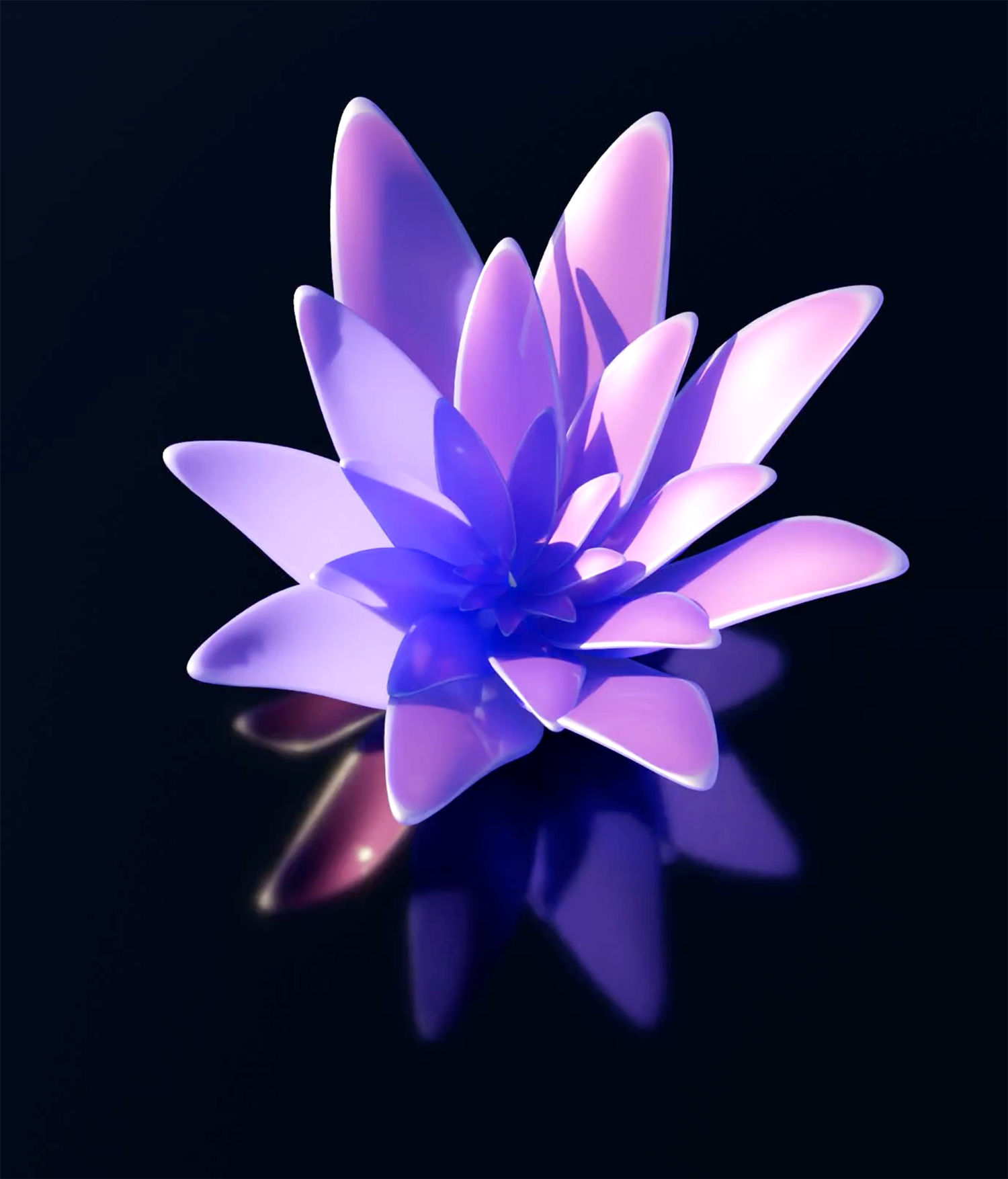 Purple Bloom by Chris Keegan on Dribbble