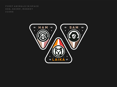First animals in Space animal astronaut badge chimp design dog earth ham icon icon set illustration laika mars monkey nasa planets sam space spacex stars
