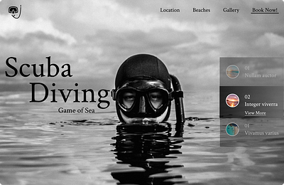 Scuba Diving beach diving graphic design landing page scuba diving ui uiux