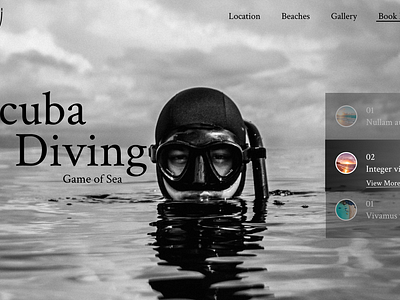 Scuba Diving beach diving graphic design landing page scuba diving ui uiux