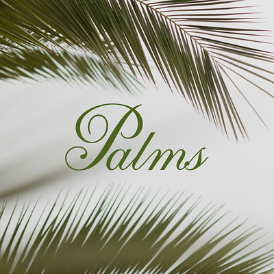 Palms branding graphic design logo