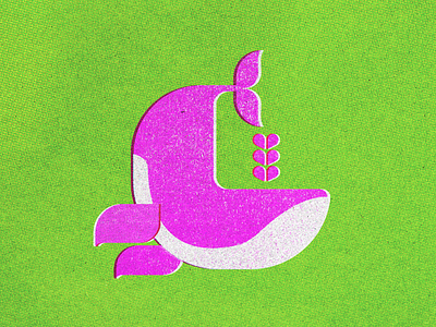 Whale branding design flat graphic design illustration vector