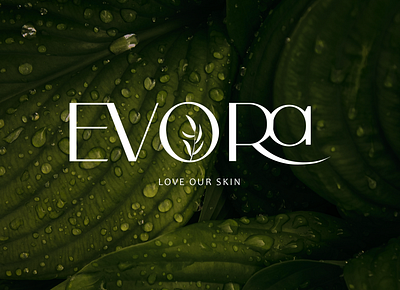 EVORA BRAND DESIGN CONCEPT brand identity branding graphic design logo mockups skincare brand