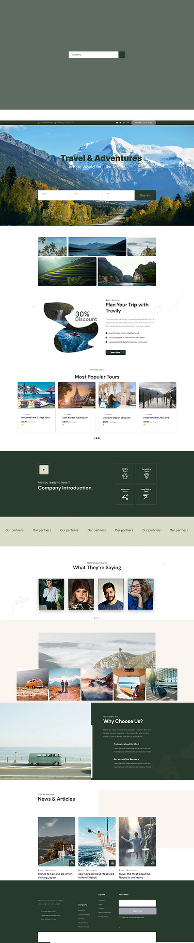 Travelling Agency Website branding design graphic design poster travel travellingwebsite ui ui design uiux webdesign website websitedesign