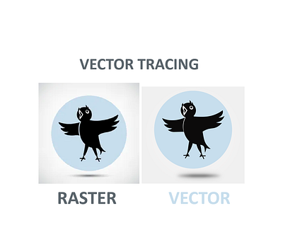 Vector tracing adobe illustrator graphic design vector vector design vector illustration vector tracing