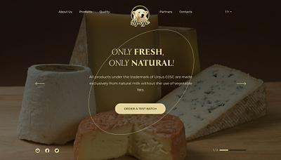 Landing page | Premium cheese production branding cheese graphic design ui ux