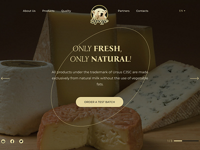 Landing page | Premium cheese production branding cheese graphic design ui ux