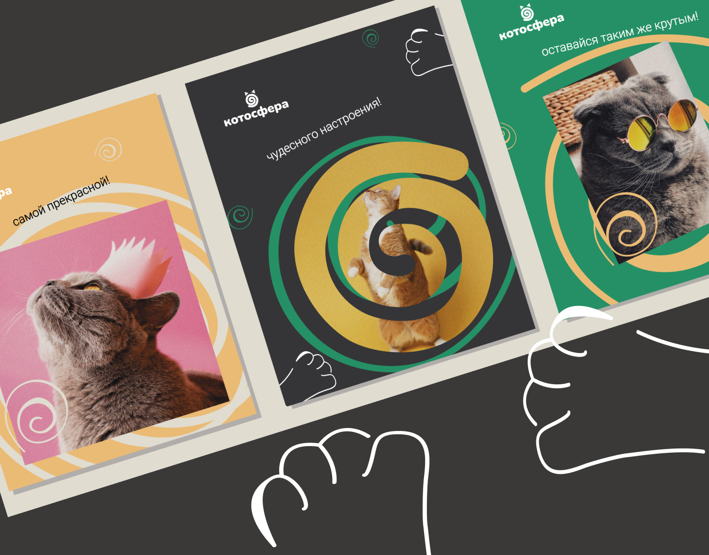 Котосфера | Cat cafe Identity branding cafe cat coffee design graphic design ide identity illustration logo typography