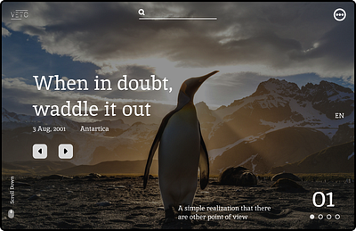 Animal Planet animal design figma graphic design landing page nature penguin ui uiux webpage