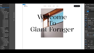 Gaint Forager — A Tour/Traveling business. animation business representation design destination landing page modern motion graphics tour travel typograpgy ui ux web development webflow