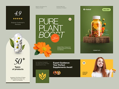 Vitaleaf Nutrition Branding brand brand guidelines brand identity brand sign branding business halo halo lab identity logo logo design logotype marketing packaging visual identity