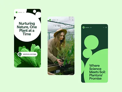 Plantons Branding Case Study agency agro behance brand brand design branding case study halo lab identity logo logo design marketing