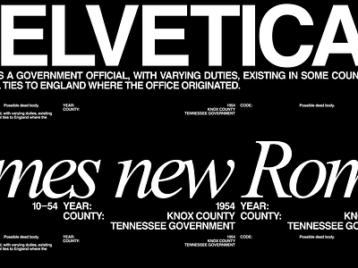 Sheriff's Office 04 art concept creative helvetica layout modern typography