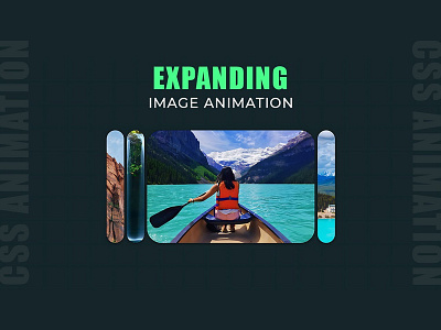 CSS Expanding Animation on Hover animation css css animation css3 divinectorweb frontend html html5