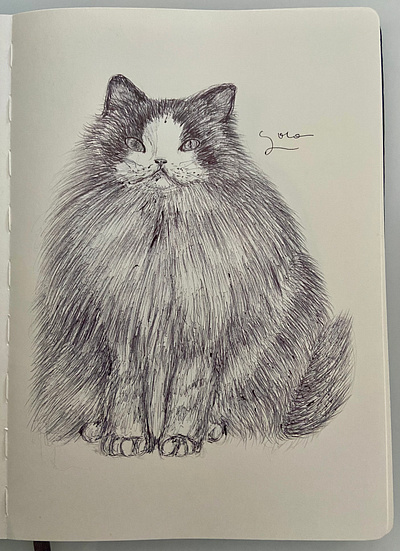 Ballpen Cat 🐈‍⬛ ballpen cat cats design drawing illustration sketch