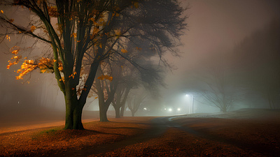 Misty autumn night with eerie street lights leaves