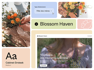 Branding \ Blossom Haven branding graphic design logo ui