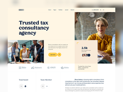 Tax Consultancy