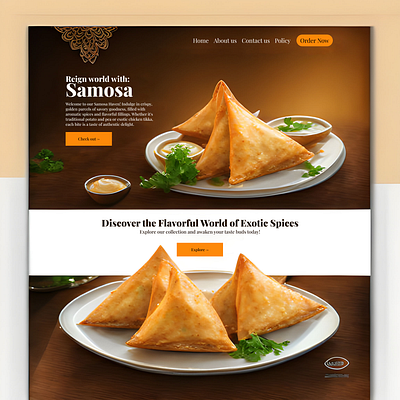 Samosa website visualdesign