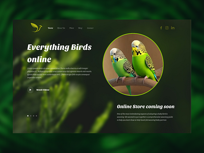 Bird Landing page dailyui dribbble graphicdesign interface ui uidesigner uiux userexperience uxdesigner webdesigner website