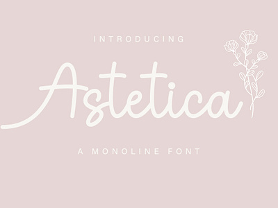 Astetica Font astetica crafting font cute font handwritten monoline new font script script font