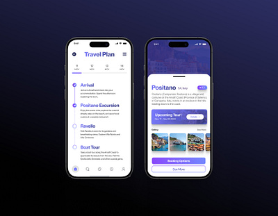 Travel Plan Mobile App app figma mobile typography ui