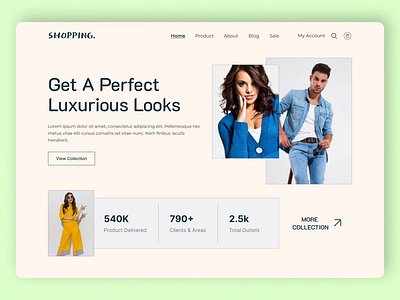 Shopping Ecommerce landing Page agency landing page branding collection design designer ecommerce fashion landing page fashionable graphic design homepage logo minimal design perfect look shopping typography ui