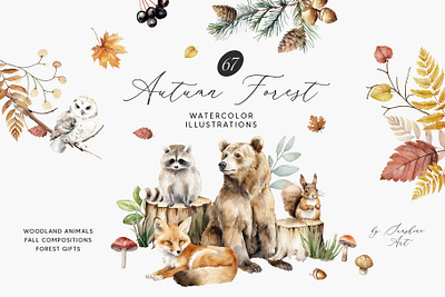 Autumn forest collection. Watercolor style autumn magic bear boletus diy floral fly agaric forest mushrooms greeting harvest invitation november october pattern raccoon seasonal september template thanksgiving day top watercolor