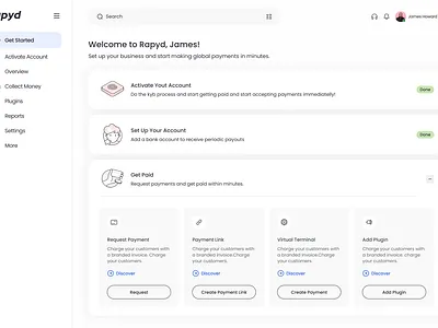 Rapyd Fintech Platform branding graphic design logo ui