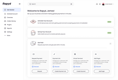 Rapyd Fintech Platform branding graphic design logo ui