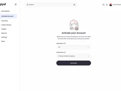 Rapyd Fintech Platform branding graphic design logo ui