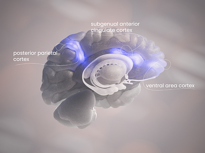 Brain 3d after effects brain cinema4d design illustration motion graphics redshift