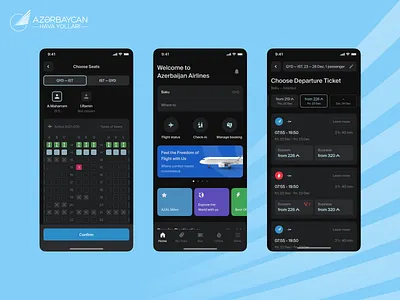 Azerbaijan Airlines application app application dark design flight minimal plane product theme travel ui ux