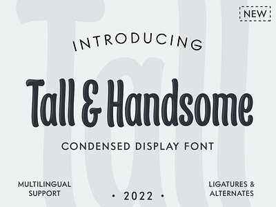 Tall & Handsome - Condensed Display Font casual condensed curvy display food fun narrow organic stylish tall