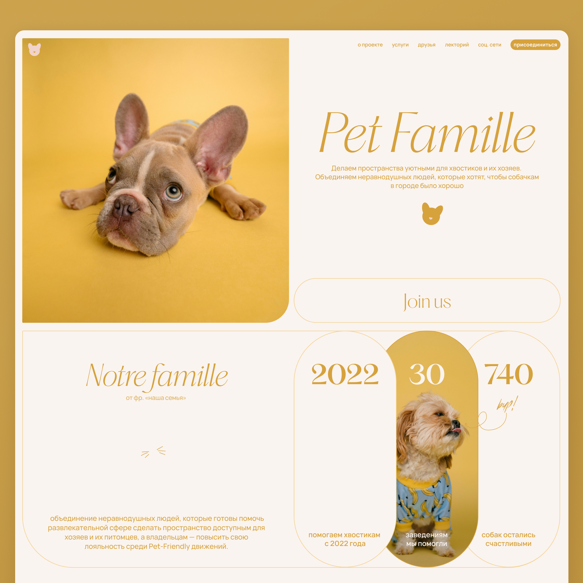 Website design concept animal project branding cute design design design concept dog dog friendly french design french style illustration landing page logo module design typography ui ui design warm colors web design website