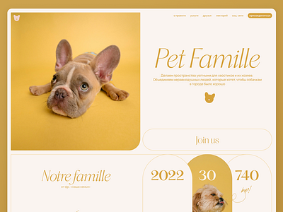 Website design concept animal project branding cute design design design concept dog dog friendly french design french style illustration landing page logo module design typography ui ui design warm colors web design website