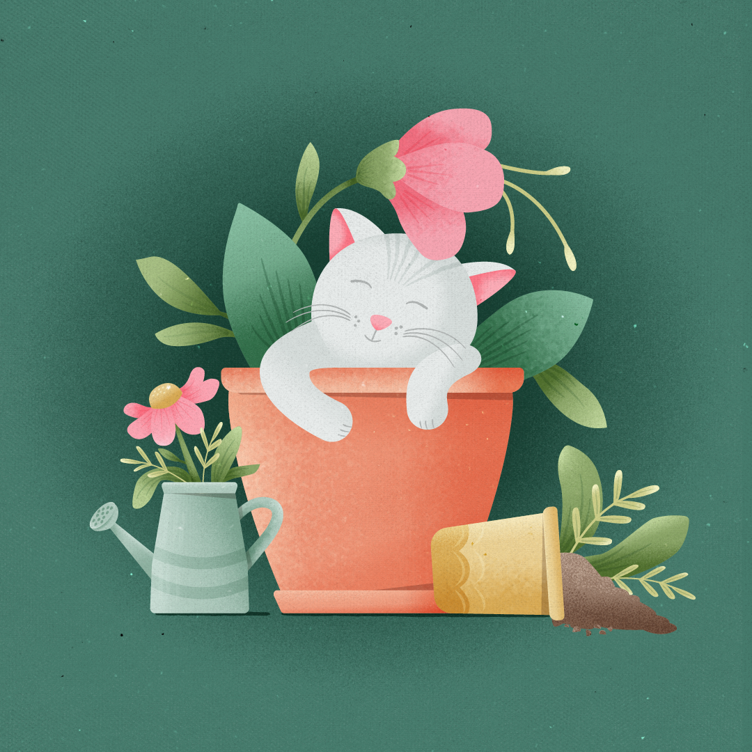 Kitty And The Garden By Iryna Evans On Dribbble